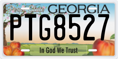GA license plate PTG8527