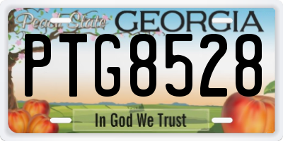 GA license plate PTG8528