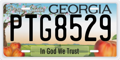 GA license plate PTG8529