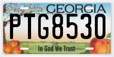 GA license plate PTG8530