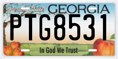 GA license plate PTG8531