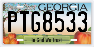 GA license plate PTG8533