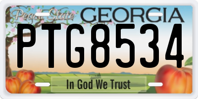 GA license plate PTG8534