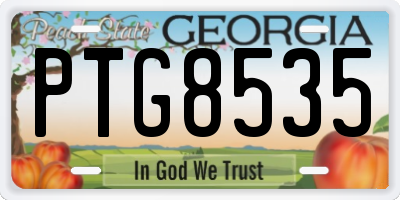 GA license plate PTG8535