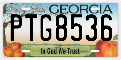 GA license plate PTG8536