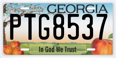 GA license plate PTG8537