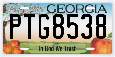 GA license plate PTG8538
