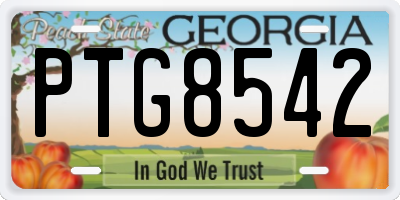 GA license plate PTG8542