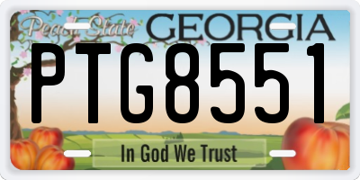 GA license plate PTG8551