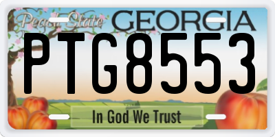 GA license plate PTG8553