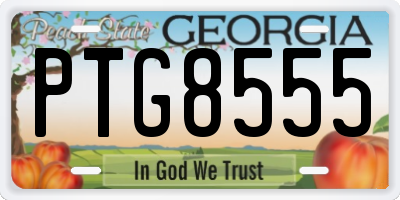 GA license plate PTG8555