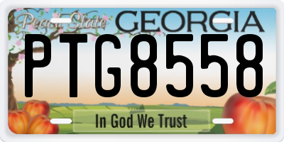 GA license plate PTG8558