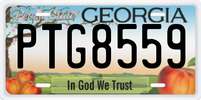 GA license plate PTG8559