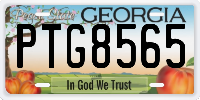 GA license plate PTG8565