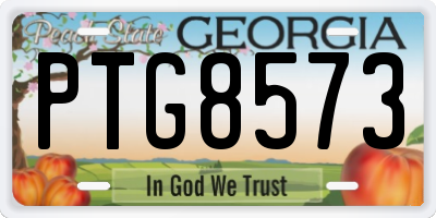 GA license plate PTG8573