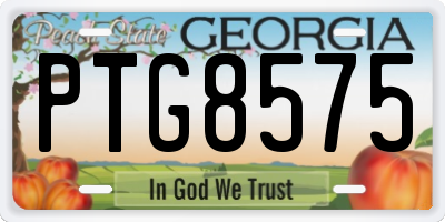 GA license plate PTG8575