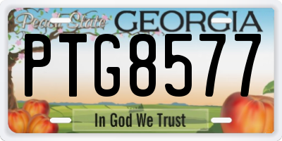 GA license plate PTG8577