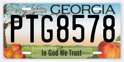 GA license plate PTG8578
