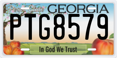 GA license plate PTG8579