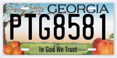 GA license plate PTG8581