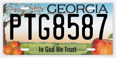 GA license plate PTG8587