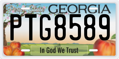 GA license plate PTG8589