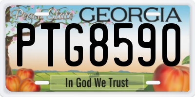 GA license plate PTG8590