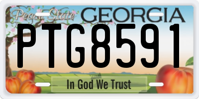 GA license plate PTG8591