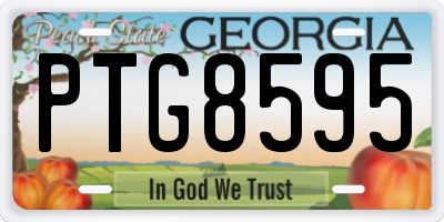 GA license plate PTG8595