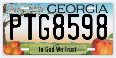 GA license plate PTG8598