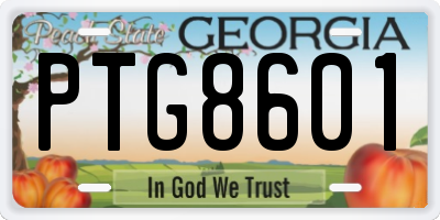 GA license plate PTG8601