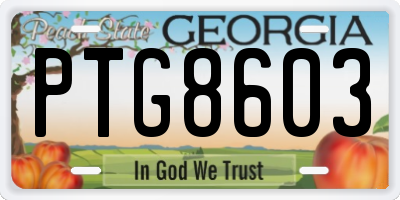 GA license plate PTG8603
