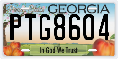 GA license plate PTG8604