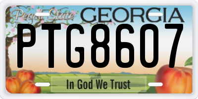 GA license plate PTG8607