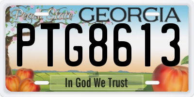 GA license plate PTG8613