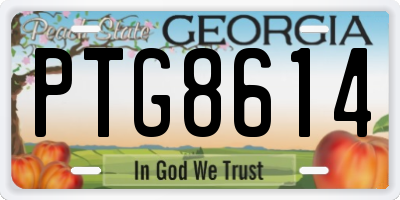 GA license plate PTG8614