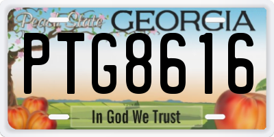 GA license plate PTG8616