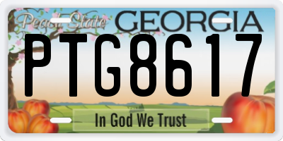 GA license plate PTG8617