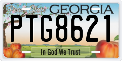 GA license plate PTG8621