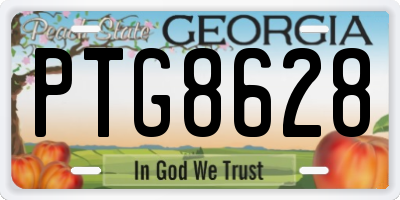 GA license plate PTG8628