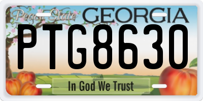GA license plate PTG8630