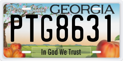 GA license plate PTG8631