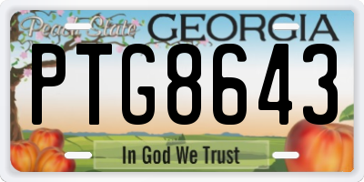 GA license plate PTG8643