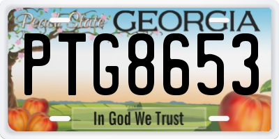 GA license plate PTG8653