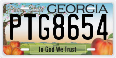 GA license plate PTG8654