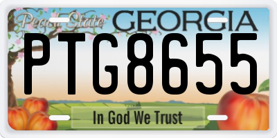 GA license plate PTG8655