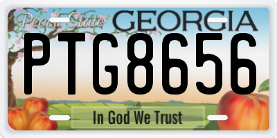 GA license plate PTG8656