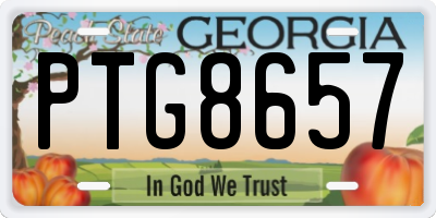GA license plate PTG8657