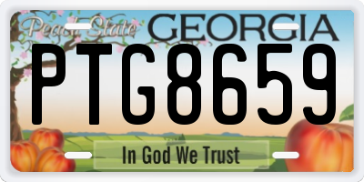 GA license plate PTG8659