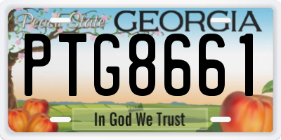 GA license plate PTG8661